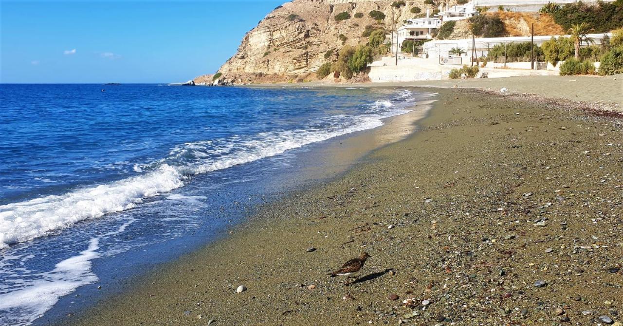 Villa Tzortzaki - Dias Tertsa Dış mekan fotoğraf